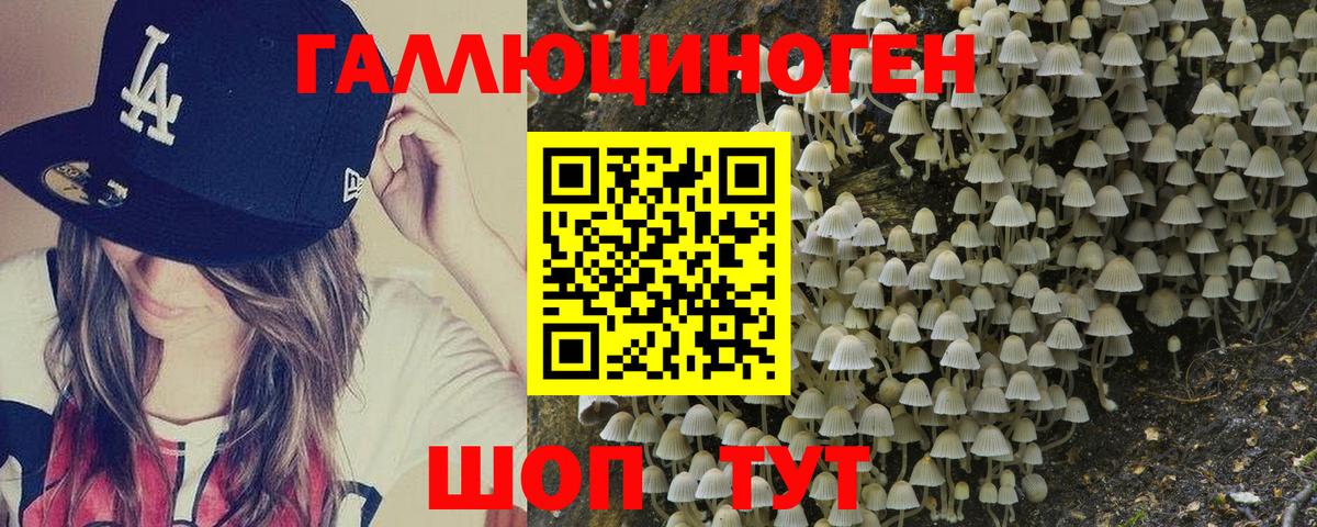 Псилоцибиновые грибы Psilocybine cubensis Усинск