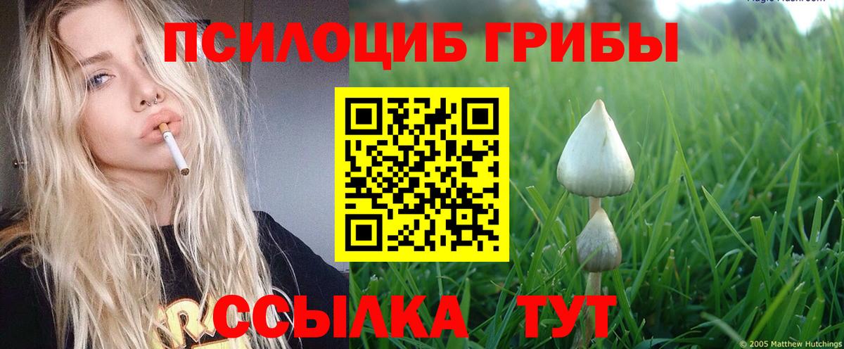 Усинск  Галлюциногенные грибы ЛСД  дарнет шоп  Вход с VPN  Псилоцибиновые грибы Magic Shrooms 